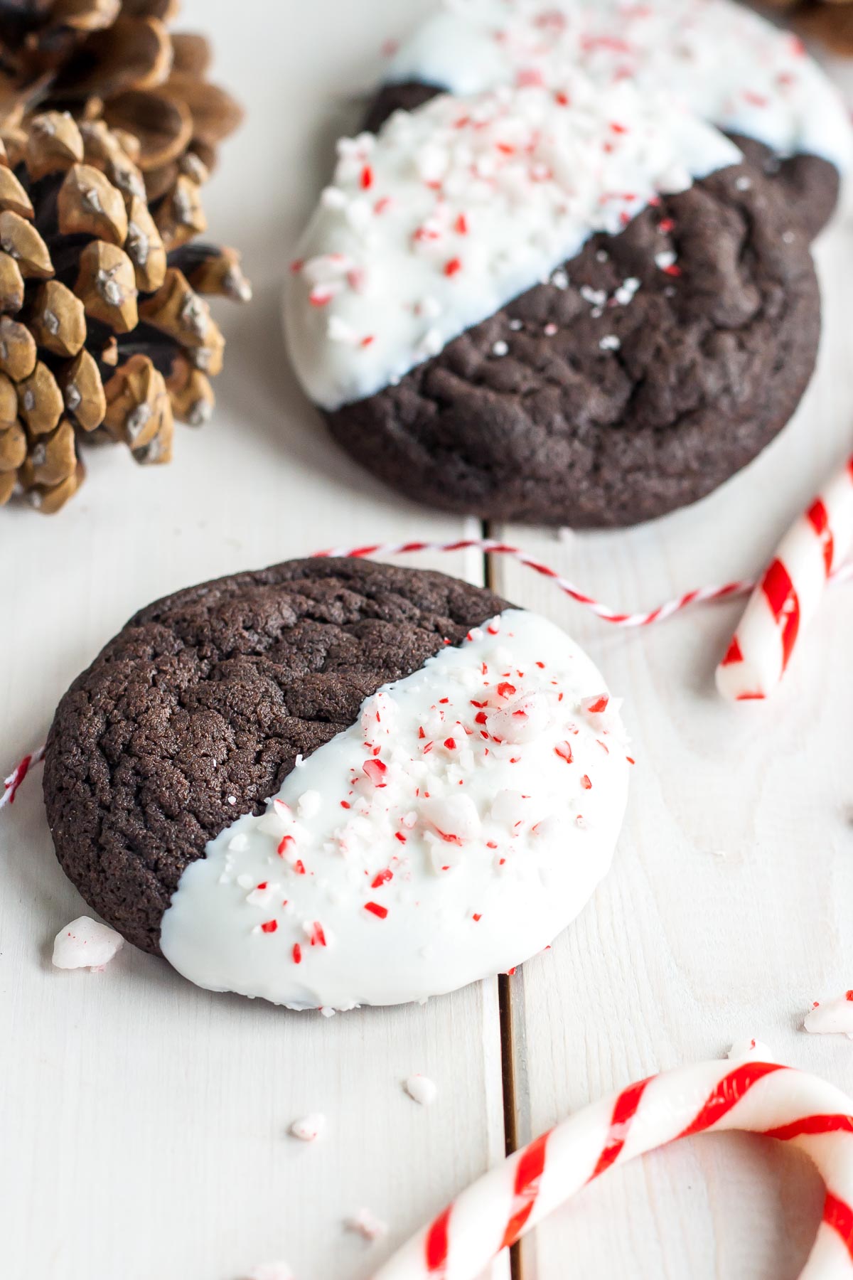Dark Chocolate Candy Cane Cookies! The classic combination of chocolate and peppermint make these Dark Chocolate Candy Cane Cookies the perfect treat for the holidays! | livforcake.com The classic combination of chocolate and peppermint make these Dark Chocolate Candy Cane Cookies the perfect treat for the holidays!