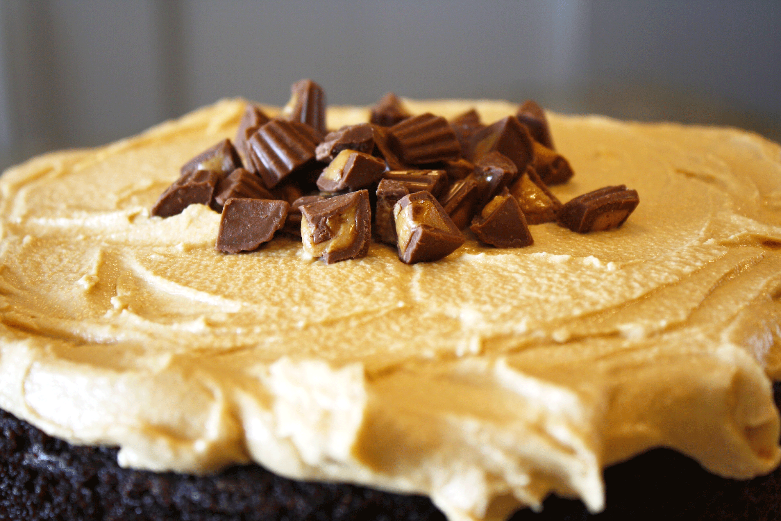 Close up of the chopped Reese\'s on the top of the cake.